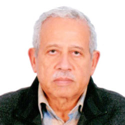Eng. Khalil Amin Abdel Kareem
